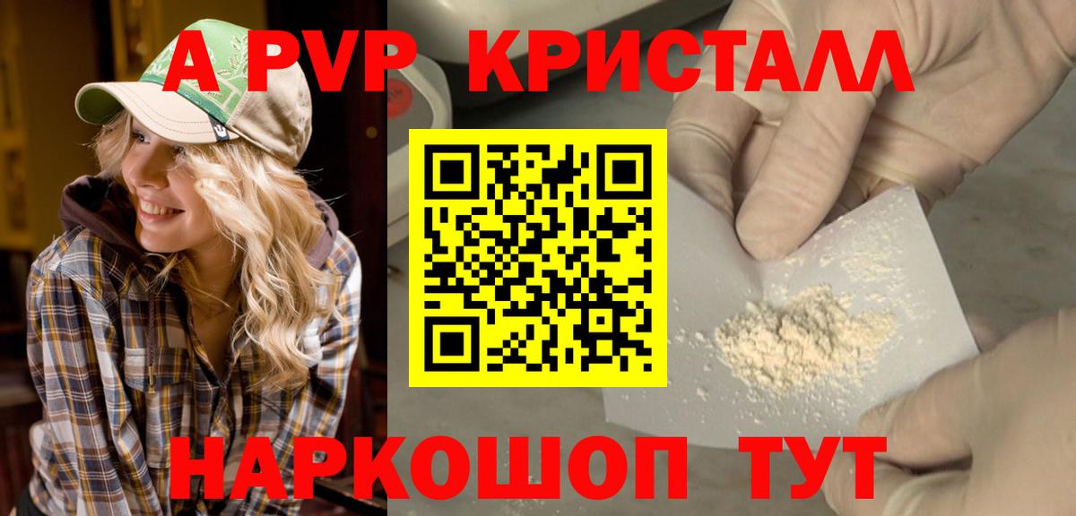 APVP СК Камышлов