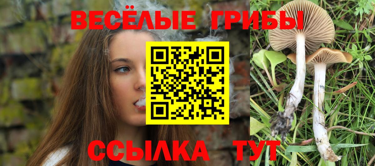 Псилоцибиновые грибы мухоморы  Псилоцибиновые грибы MAGIC MUSHROOMS  Вход с VPN  Камышлов 