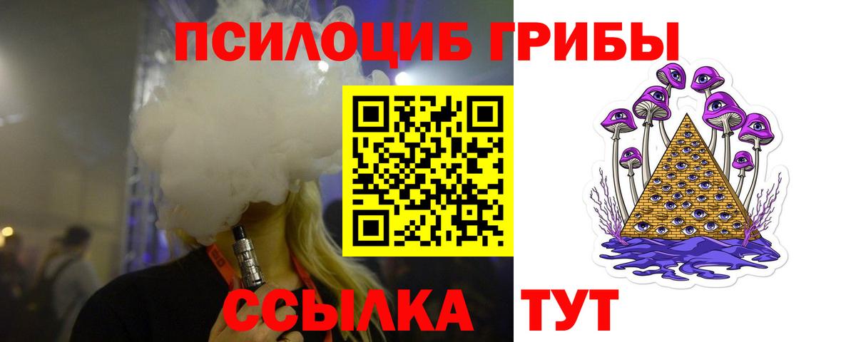 Псилоцибиновые грибы GOLDEN TEACHER Камышлов